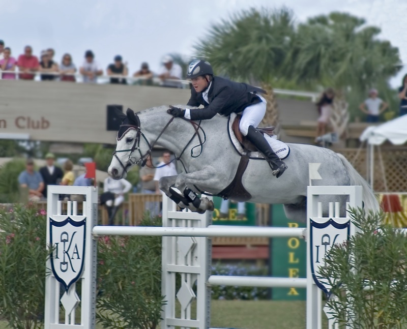 Horse Jumping at Wellington