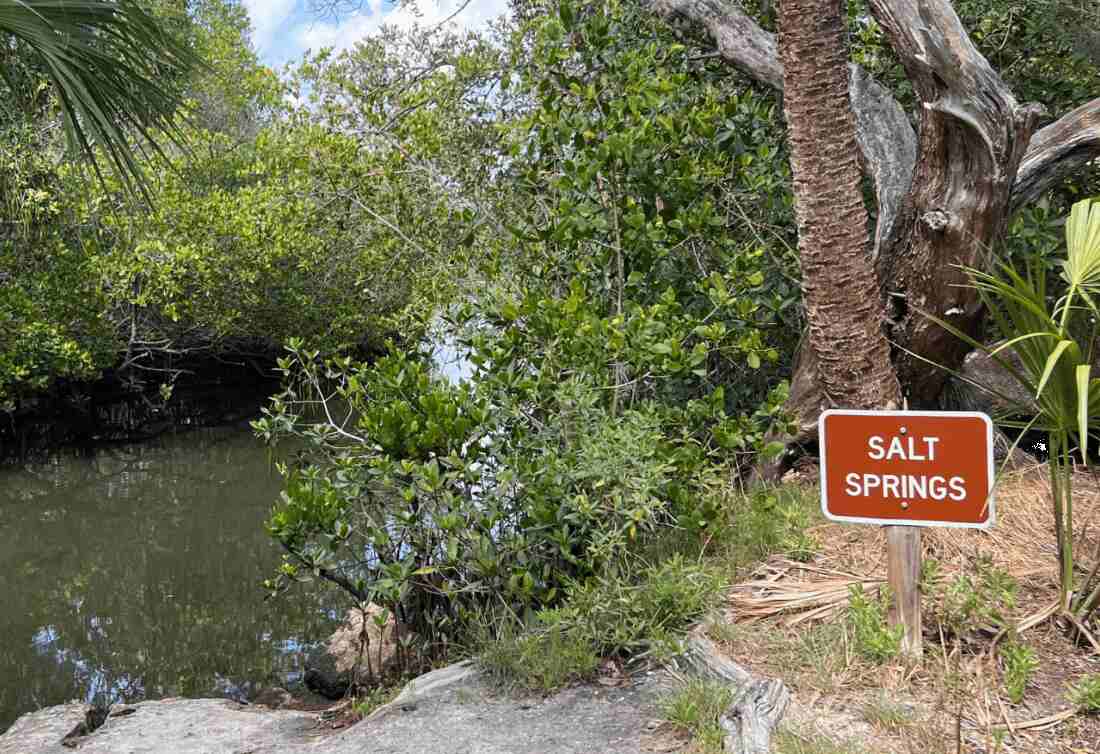 Werner-Boyce Salt Springs