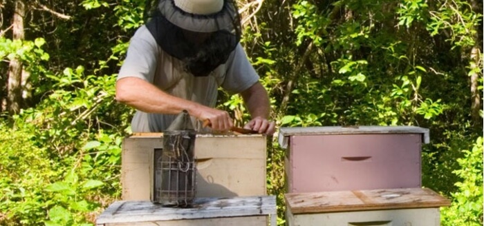 Wewahitchka Beekeeper