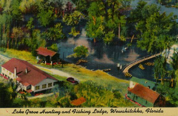 Wewahitchka Lake Grove Postcard