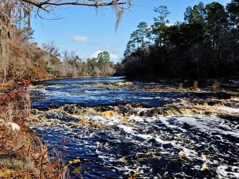 Big Shoals on the Suwannee River near White Springs