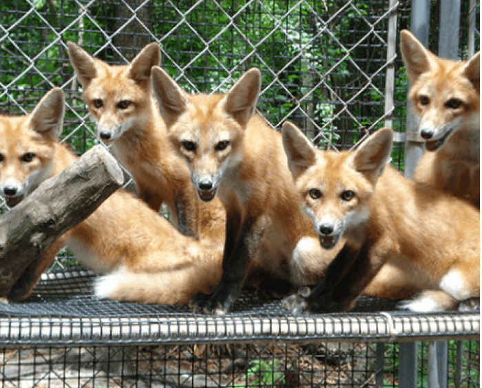 Wildlife Sanctuary NW FL