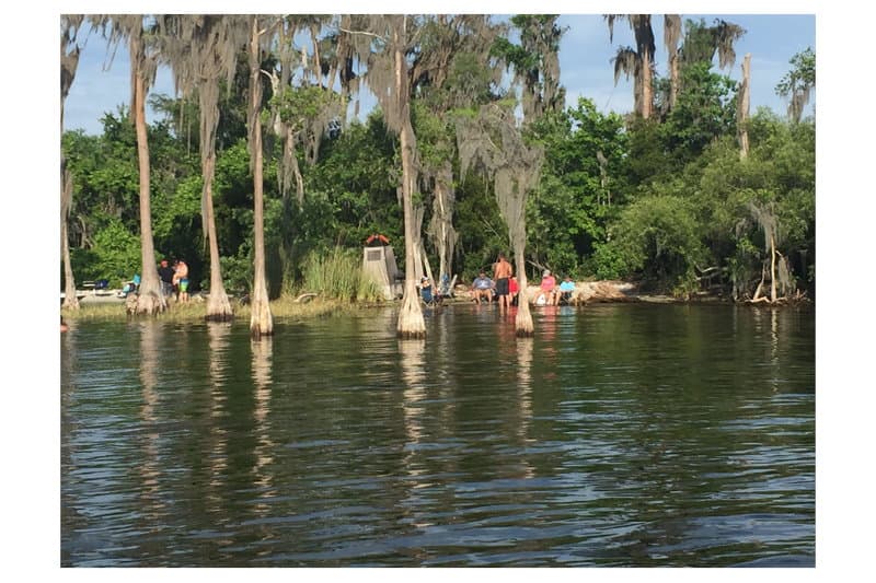 Bird Island at Fernwood Park