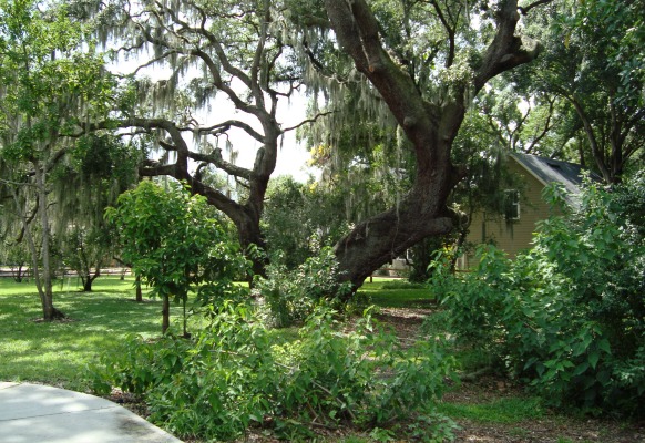 Windermere Neighborhood