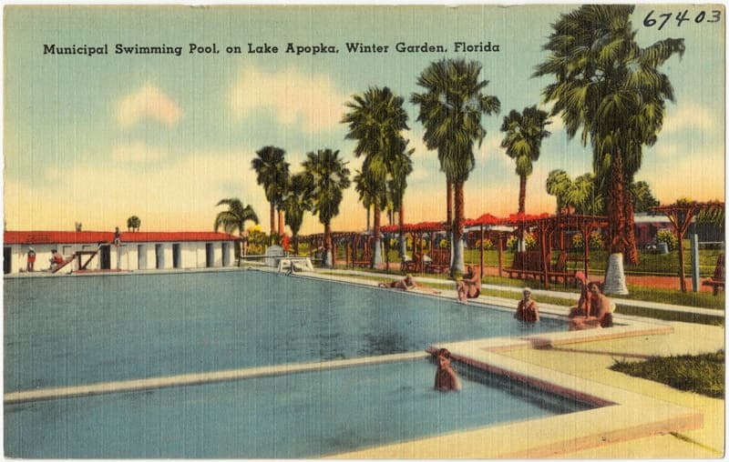 Winter Garden Pool Vintage Postcard