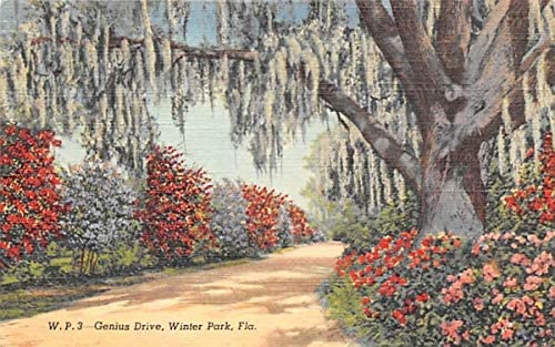 Postcard Genius Drive, Winter Park
