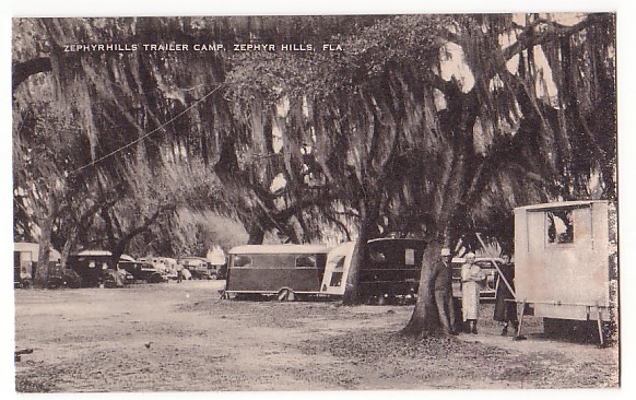Vintage Postcard Zephyr Hills