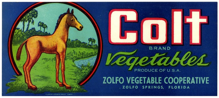 Zolfo Springs Vegetable Crate Label