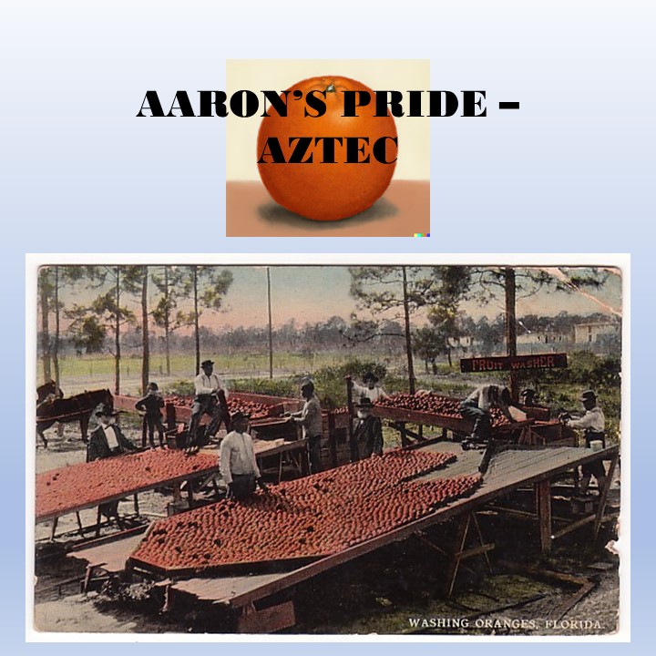 zzA First Divider zzA First Divider