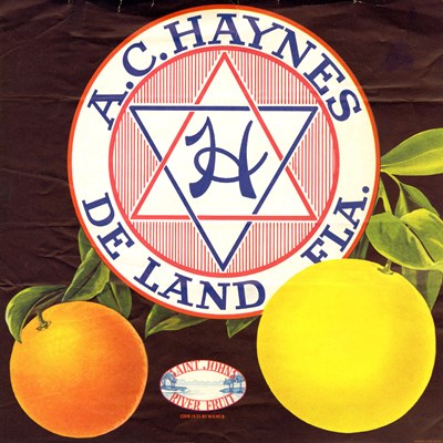 Zz AC Haynes Zz AC Haynes