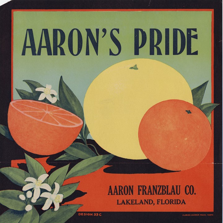 Zz Aarons Pride Zz Aarons Pride