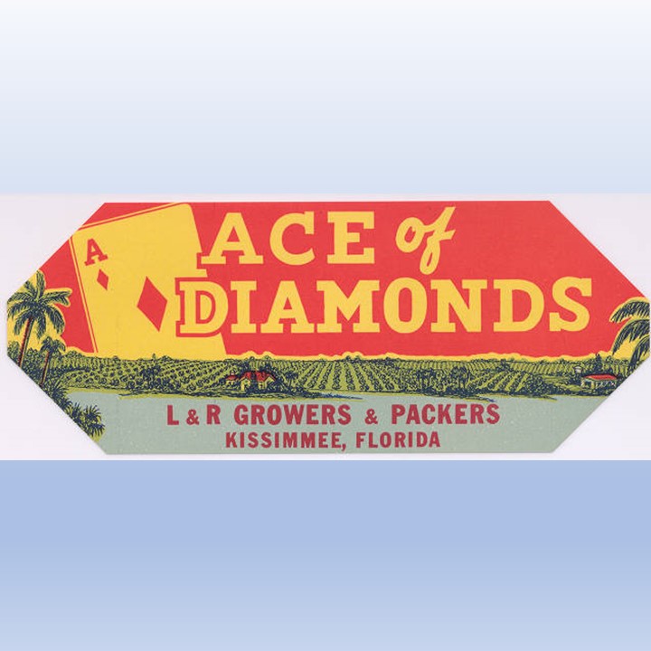 Zz Ace of Diamonds Zz Ace of Diamonds