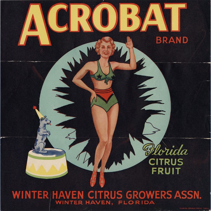 Zz Acrobat Zz Acrobat