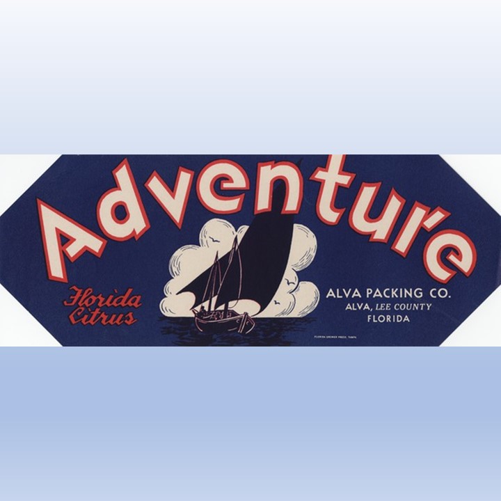 Zz Adventure Zz Adventure