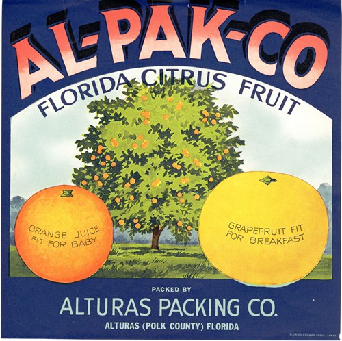 Zz Al Pak Co Zz Al Pak Co