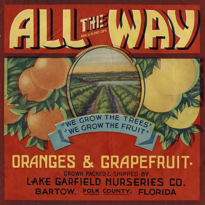 Zz All The Way Zz All The Way