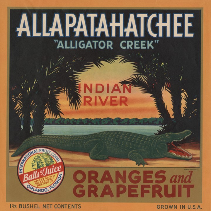 Zz Allapatahatchee Zz Allapatahatchee