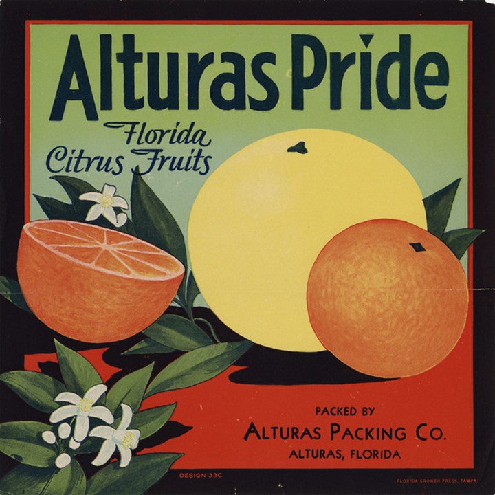 Zz Alturas Pride Zz Alturas Pride