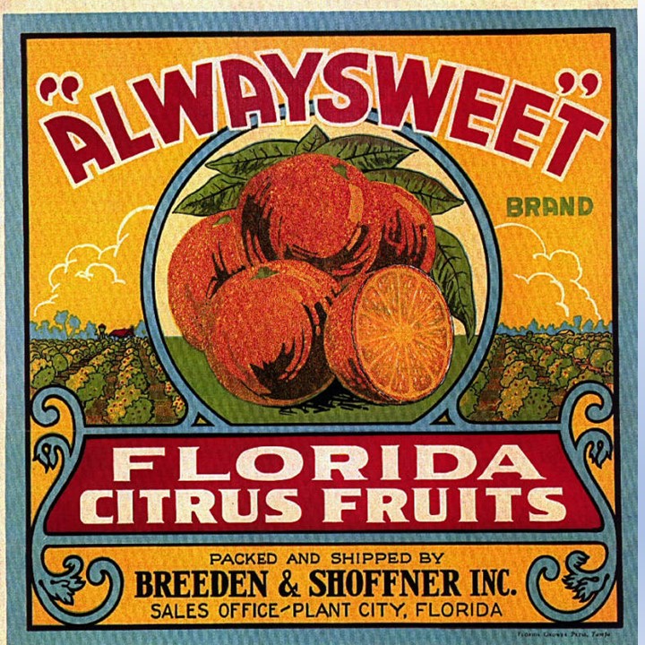 Zz Always Sweet Zz Always Sweet