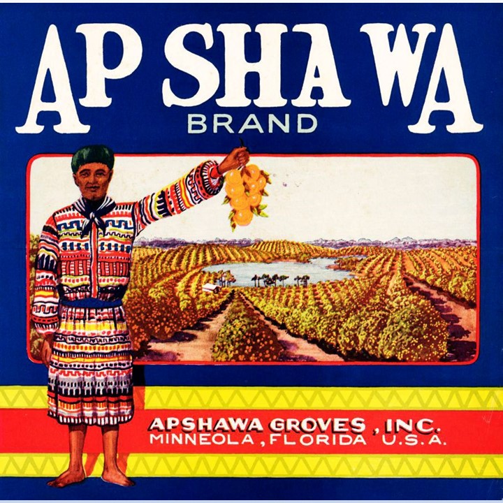 Zz Apshawa Zz Apshawa