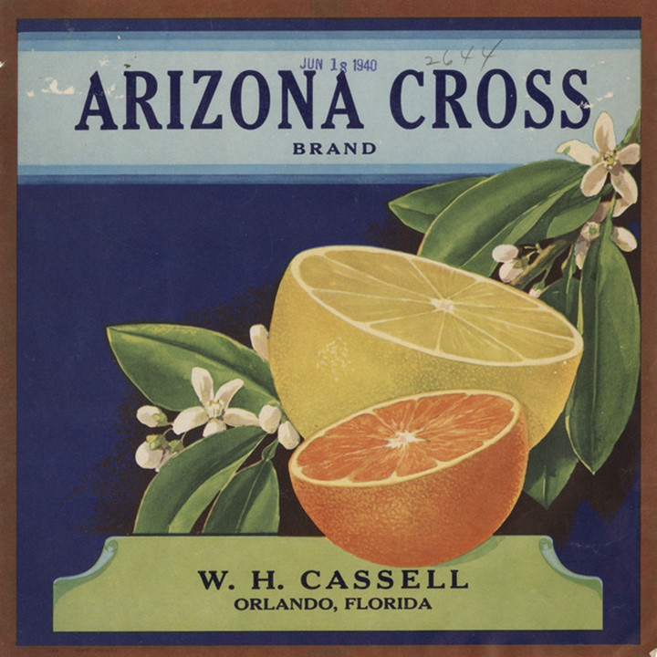 Zz Arizona Cross Zz Arizona Cross