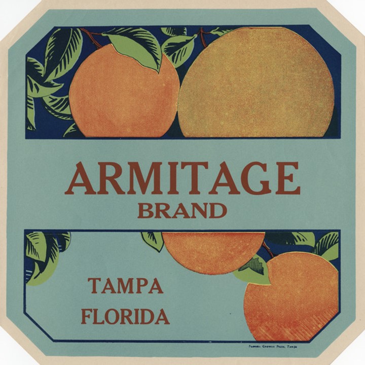 Zz Armitage Zz Armitage