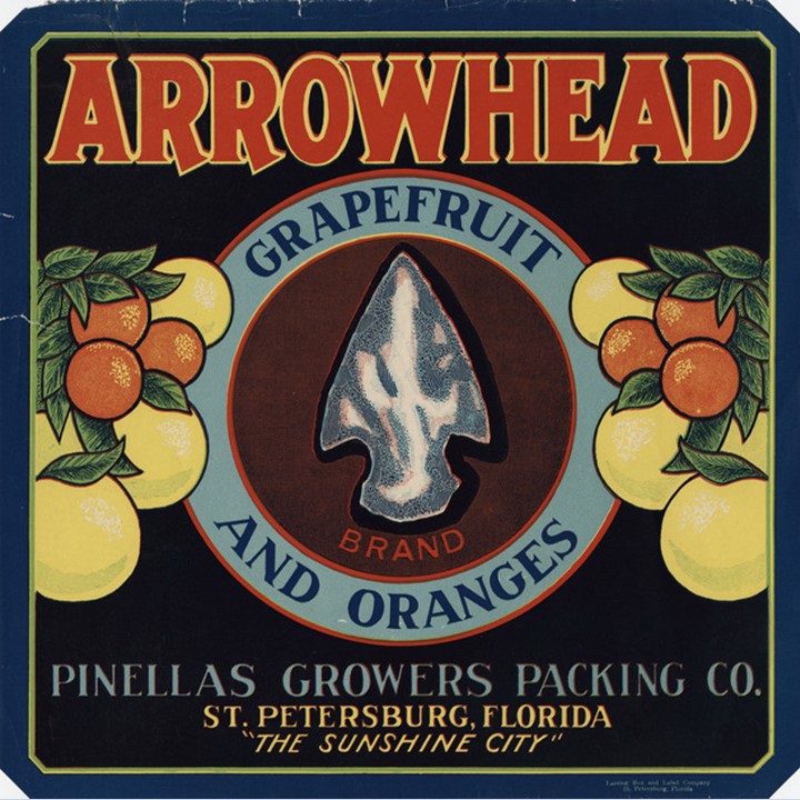 Zz Arrowhead Zz Arrowhead