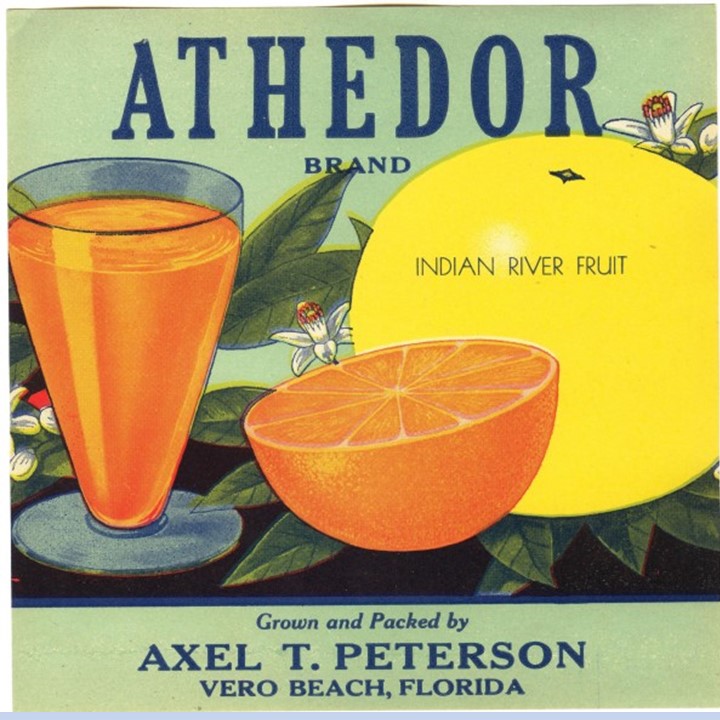 Zz Athedor Zz Athedor