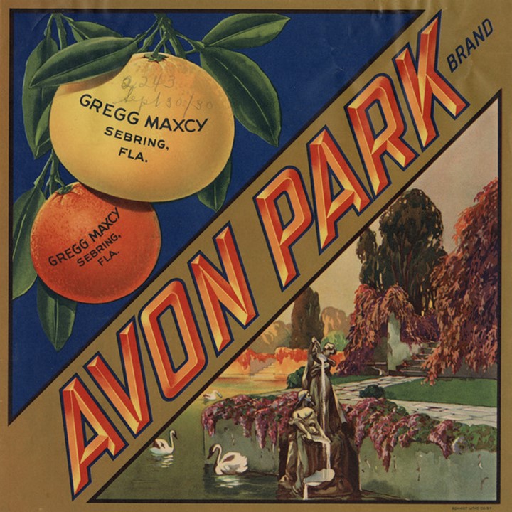 Zz Avon Park Zz Avon Park