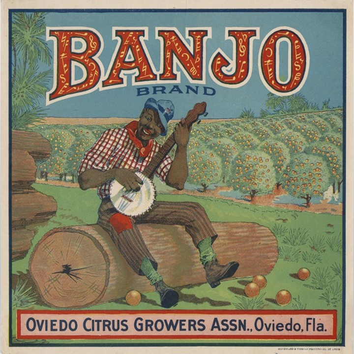 Zz Banjo