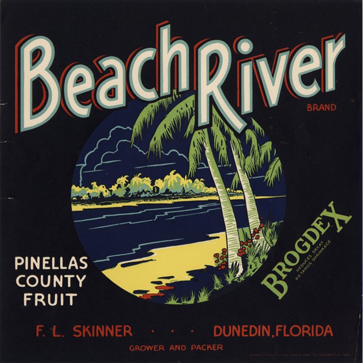 Zz Beach River