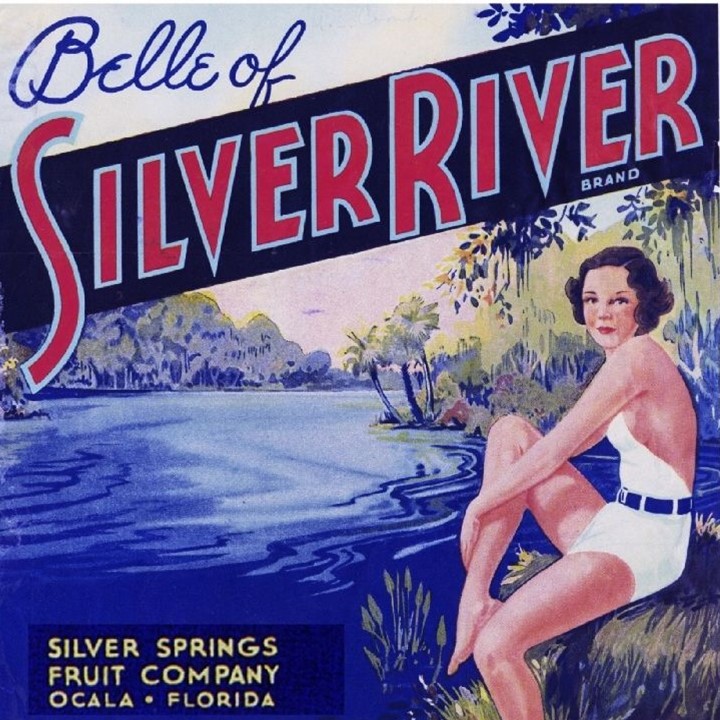 Zz Belle of Silver River