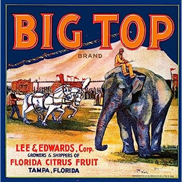 Zz Big Top
