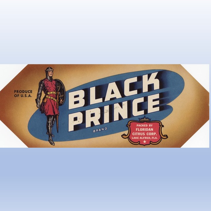 Zz Black Prince