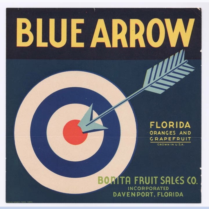 Zz Blue Arrow