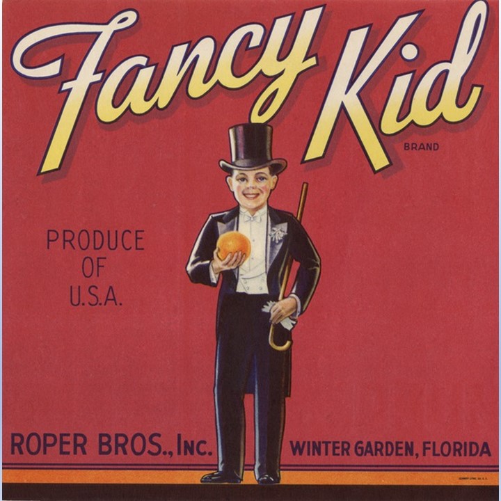 Fancy Kid