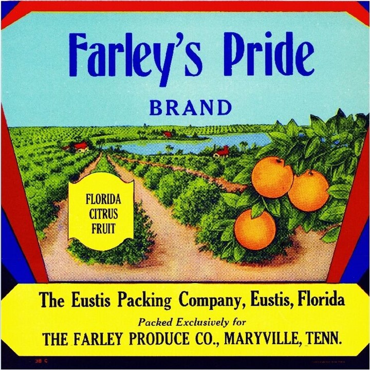 84 Florida Citrus Crate Labels Fairvilla to Furlough