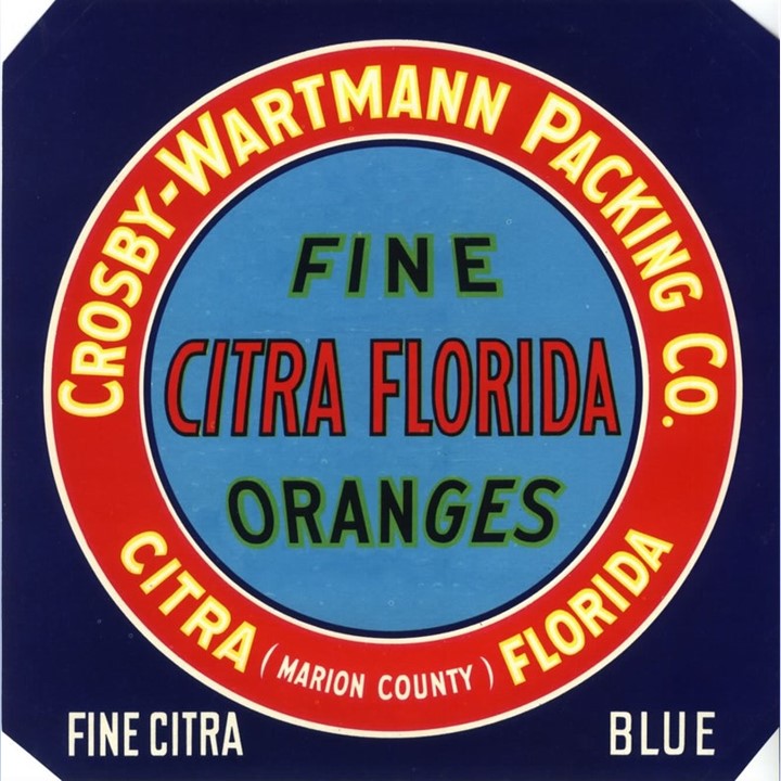 Fine Citra Blue