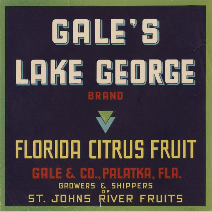 Gales Lake George Gales Lake George