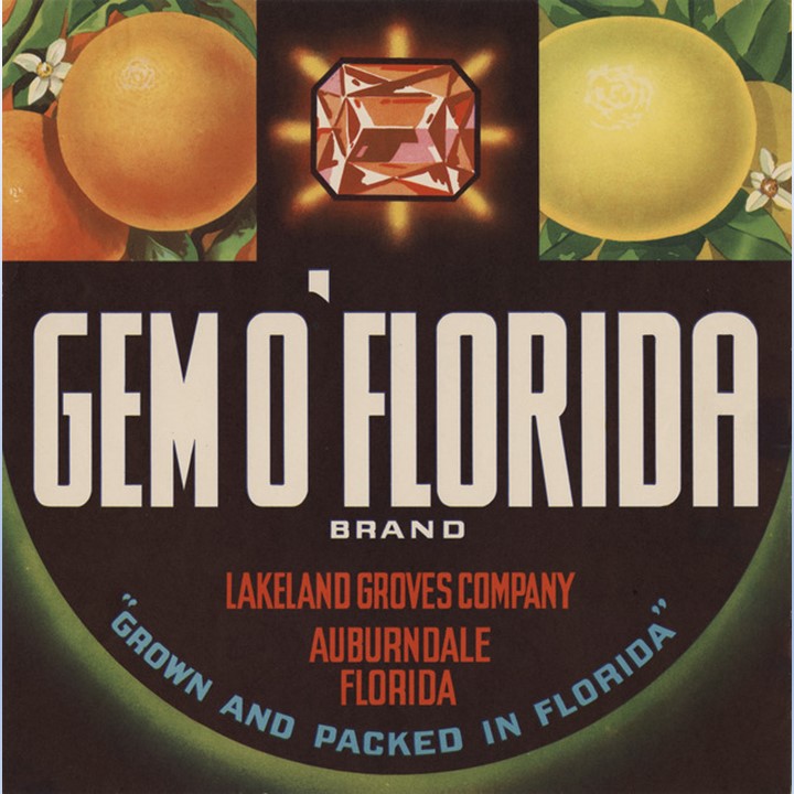 Gem O Florida Gem O Florida