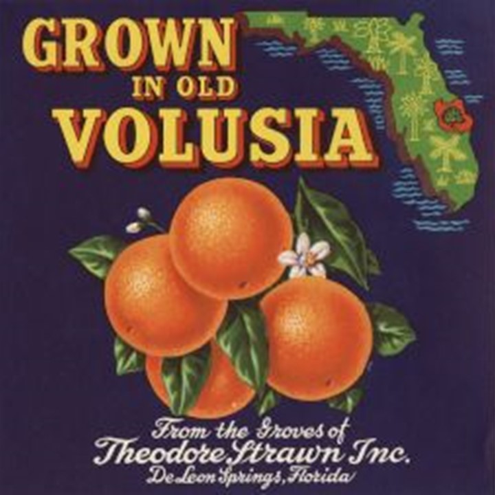 Grown in Volusia Grown in Volusia