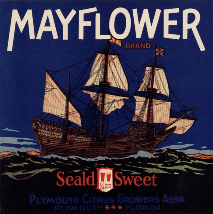 Zz-Mayflower 2 Zz-Mayflower 2