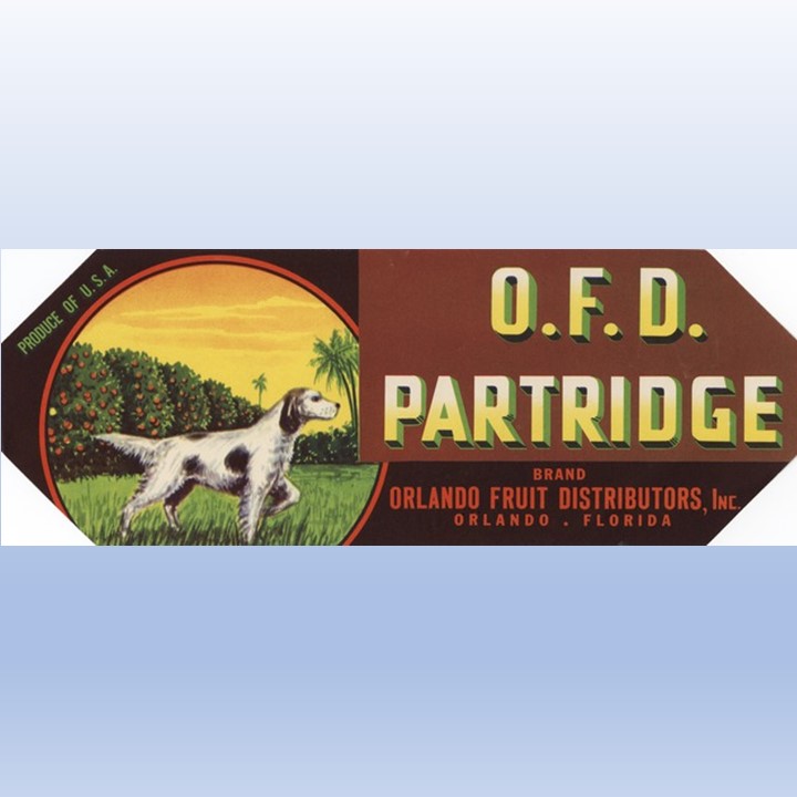 OFD Partridge
