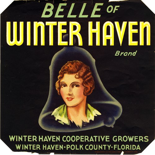 Belle Winter Haven Belle Winter Haven