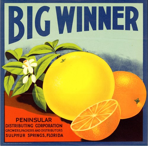 Big Winner Big Winner