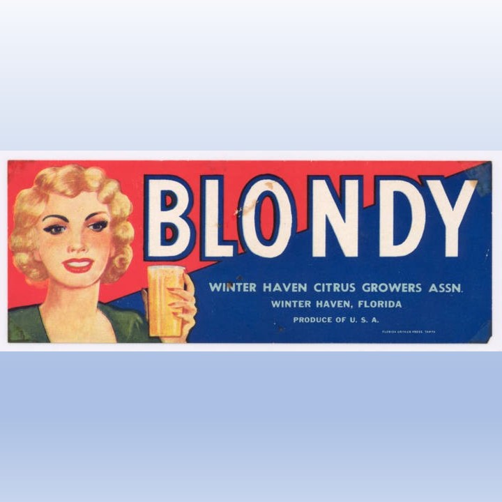 Zz Blondy 2