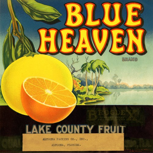 Blue Heaven Blue Heaven