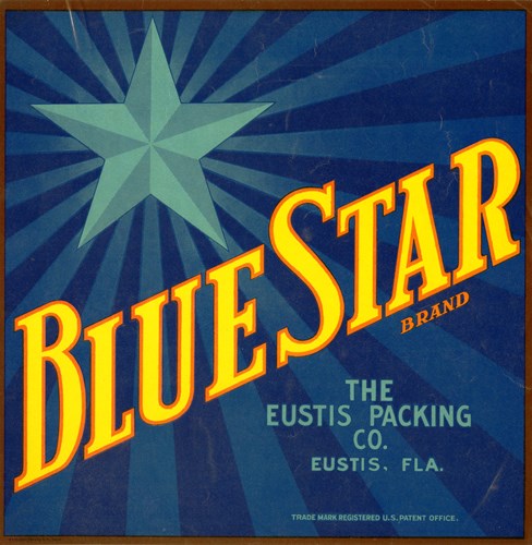 Blue Star Blue Star