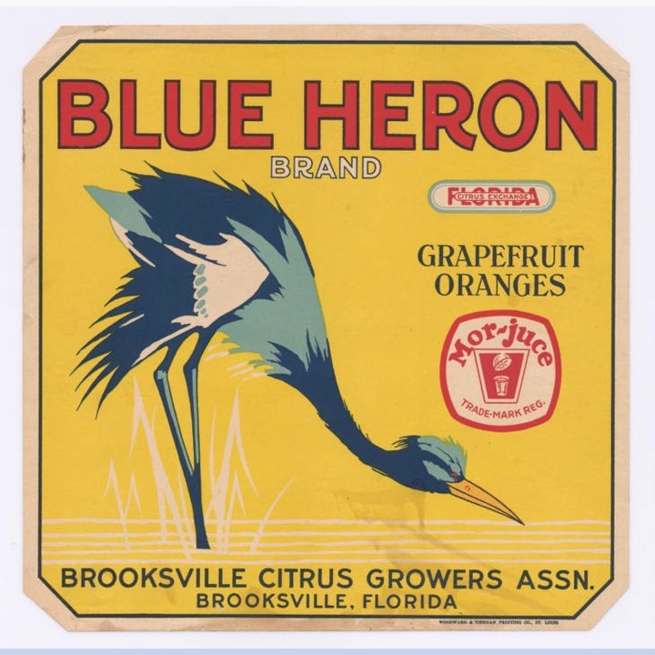 Blue Heron2