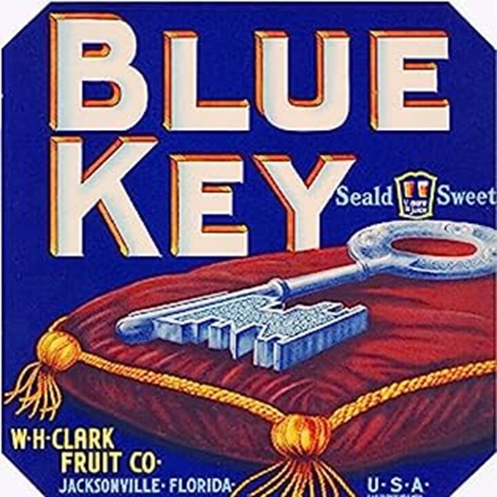 Blue Key
